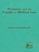Tài liệu Property and the Family in Biblical Law ppt