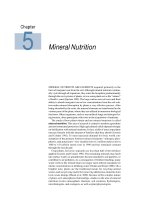 Tài liệu Plant physiology - Chapter 5 Mineral Nutrition pdf