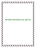 Tài liệu Bài thuốc chữa bệnh từ cây ngũ trảo pptx