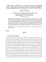 Phát triển nguồn lực con người trong sự nghiệp công nghiệp hoá, hiện đại hoá ở tỉnh vĩnh phúc