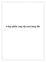Tài liệu 6 thực phẩm cung cấp canxi hàng đầu doc