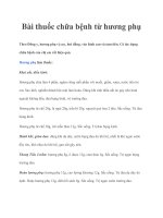 Tài liệu Bài thuốc chữa bệnh từ hương phụ pdf