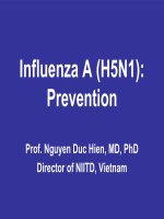 Tài liệu Influenza A (H5N1): Prevention pptx