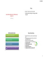 Tài liệu HOẠCH ĐỊNH NGÂN SÁCH & THẨM ĐỊNH DỰ ÁN ĐẦU TƯ pptx