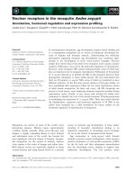 Tài liệu Báo cáo khoa học: Nuclear receptors in the mosquito Aedes aegypti Annotation, hormonal regulation and expression proﬁling ppt