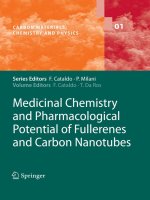 Tài liệu Medicinal Chemistry and Pharmacological Potential of Fullerenes and Carbon Nanotubes docx