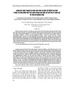 Tài liệu Báo cáo 