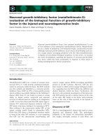 Tài liệu Báo cáo khoa học: Neuronal growth-inhibitory factor (metallothionein-3): evaluation of the biological function of growth-inhibitory factor in the injured and neurodegenerative brain pdf