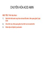 Tài liệu CHUYỂN HÓA ACID AMIN pptx