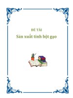 đề tài sản xuất tinh bột gạo