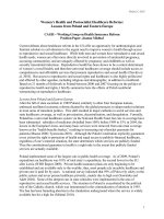 Tài liệu Women’s Health and Postsocialist Healthcare Reforms: Lessons from Poland and Eastern Europe ppt