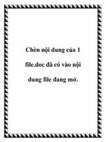 Tài liệu Chèn nội dung của 1 file.doc đã có vào nội dung file đang mở. pot