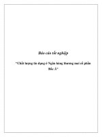 Chất lượng tín dụng ở Ngân hàng thương mai cổ phần Bắc Á