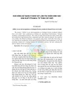 Tài liệu KHẢ NĂNG SỬ DỤNG VI SINH VẬT LÀM TÁC NHÂN SINH HỌC SẢN XUẤT ETHANOL TỪ THÂN CÂY NGÔ pptx