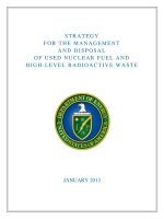 Tài liệu STRATEGY FOR THE MANAGEMENT AND DISPOSAL OF USED NUCLEAR FUEL AND HIGH-LEVEL RADIOACTIVE WASTE ppt