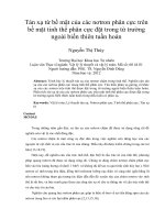 Tán xạ từ bề mặt của các nơtron phân cực trên bề mặt tinh thể phân cực đặt trong từ trường ngoài biến thiên tuần hoàn