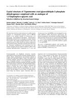 Tài liệu Báo cáo khoa học: Crystal structure of Trypanosoma cruzi glyceraldehyde-3-phosphate dehydrogenase complexed with an analogue of 1,3-bisphospho-D-glyceric acid Selective inhibition by structure-based design docx
