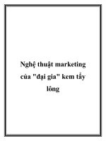 Tài liệu Nghệ thuật marketing của đại gia kem tẩy lông, ppt