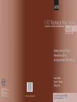 Tài liệu Testing Savings Product Innovations Using an Experimental Methodology pptx