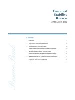 Tài liệu Financial Stability Review SeptembeR 2011 pdf