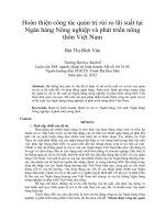 Hoàn thiện công tác quản trị rủi ro lãi suất tại ngân hàng nông nghiệp và phát triển nông thôn việt nam