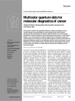 Tài liệu MULTICOLOR QUANTUM DOTS FOR MOLECULAR DIAGNOSTICS OF CANCER doc