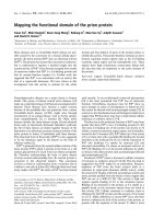 Tài liệu Báo cáo khoa học: Mapping the functional domain of the prion protein docx