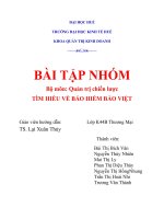 tìm hiểu về bảo hiểm bảo việt