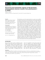 Tài liệu Báo cáo khoa học: Structural and mechanistic aspects of ﬂavoproteins: photosynthetic electron transfer from photosystem I to NADP+ doc
