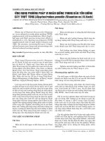Tài liệu ỨNG DỤNG PHƯƠNG PHÁP VI NHÂN GIỐNG TRONG BẢO TỒN GIỐNG CÂY THUỶ TÙNG [Glyptostrobus pensilis (Staunton ex) K.Koch] pot