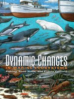 Tài liệu Dynamic Changes IN MARINE ECOSYSTEMS Fishing, Food Webs, and Future Options docx