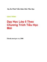 Tài liệu GIÁO TRÌNH Dạy Học Lớp 5 Theo Chương Trình Tiểu Học Mới doc