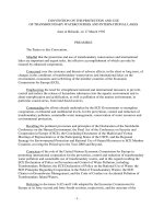 Tài liệu CONVENTION ON THE PROTECTION AND USE OF TRANSBOUNDARY WATERCOURSES AND INTERNATIONAL LAKES doc
