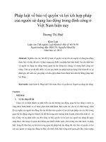Pháp luật về bảo vệ quyền và lợi ích hợp pháp của người sử dụng lao động trong đình công ở việt nam hiện nay