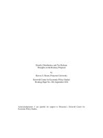 Tài liệu Growth, Distribution, and Tax Reform: Thoughts on the Romney Proposal pdf