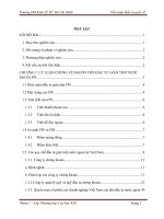 đầu tư quốc tế gián tiếp, thực trạng và giải pháp ở việt nam