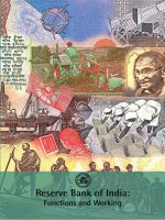 Tài liệu Reserve Bank of India: Functions and Working doc