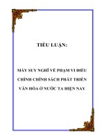 Tài liệu TIỂU LUẬN: MẤY SUY NGHĨ VỀ PHẠM VI ĐIỀU CHỈNH CHÍNH SÁCH PHÁT TRIỂN VĂN HÓA Ở NƯỚC TA HIỆN NAY pptx