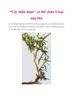 Tài liệu “Cây thần dược” có thể chữa 5 loại ung thư pot