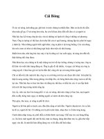 Tài liệu Cái Bóng doc