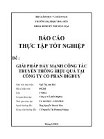giải pháp đẩy mạnh công tác truyền thông hiệu quả tại công ty cổ phần bigbuy