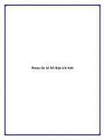 Tài liệu Rượu tắc kè bổ thận ích tinh potx