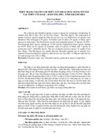 Tài liệu BÁO CÁO 