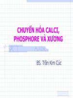 Tài liệu CHUYỂN HÓA CALCI docx