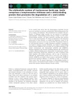 Tài liệu Báo cáo khoa học: The chitinolytic system of Lactococcus lactis ssp. lactis comprises a nonprocessive chitinase and a chitin-binding protein that promotes the degradation of a- and b-chitin doc
