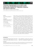 Tài liệu Báo cáo khoa học: Functional characterization of an orphan cupin protein from Burkholderia xenovorans reveals a mononuclear nonheme Fe2+-dependent oxygenase that cleaves b-diketones ppt