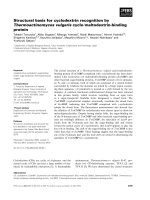 Tài liệu Báo cáo khoa học: Structural basis for cyclodextrin recognition by Thermoactinomyces vulgaris cyclo⁄maltodextrin-binding protein ppt