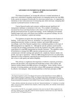 Tài liệu ADVISORY ON INTEREST RATE RISK MANAGEMENT doc