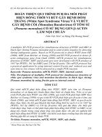 Tài liệu BÁO CÁO 