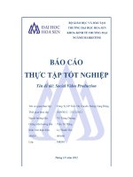 luận văn social video production